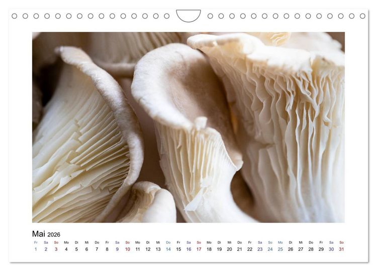 Produktbild: Wochenmarkt - Genussvoll Einkaufen (Wandkalender 2026 DIN A4 quer), CALVENDO Monatskalender