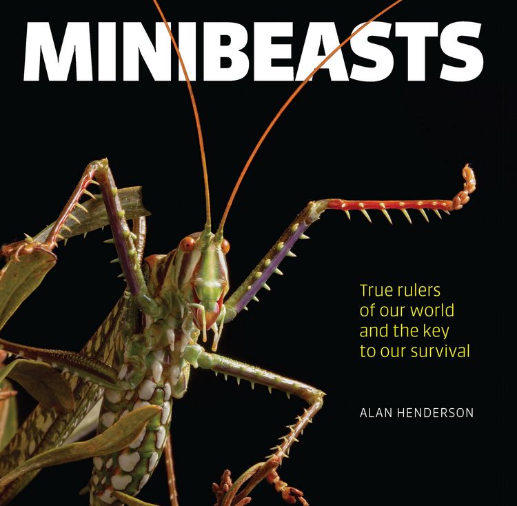 Produktbild: Minibeasts