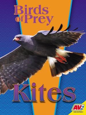 Produktbild: Kites