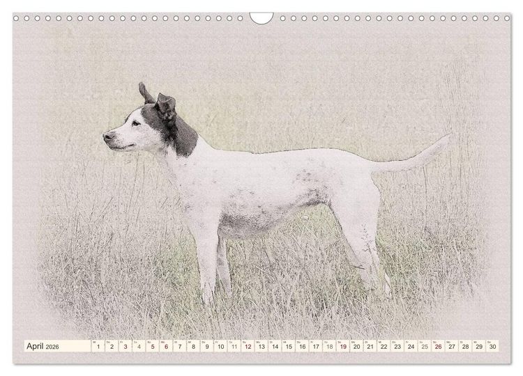 Produktbild: Bodeguero Andaluz 2026 (Wandkalender 2026 DIN A3 quer), CALVENDO Monatskalender