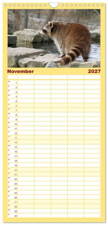 Produktbild: Familienplaner 2027 - Waschb&auml;ren mit 5 Spalten (Wandkalender, 21 x 45 cm) CALVENDO