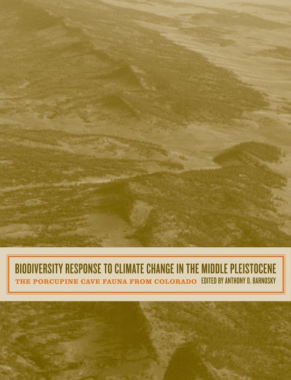 Produktbild: Biodiversity Response to Climate Change in the Middle Pleistocene