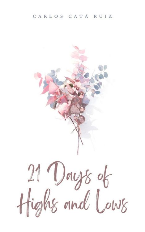 Produktbild: 21 Days of Highs and Lows