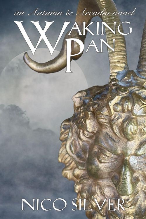 Produktbild: Waking Pan