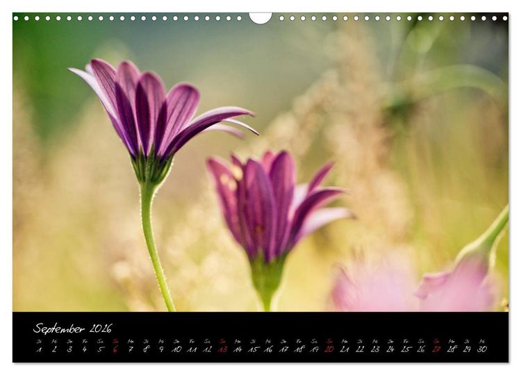 Produktbild: Frankreich Bretagne (Wandkalender 2026 DIN A3 quer), CALVENDO Monatskalender