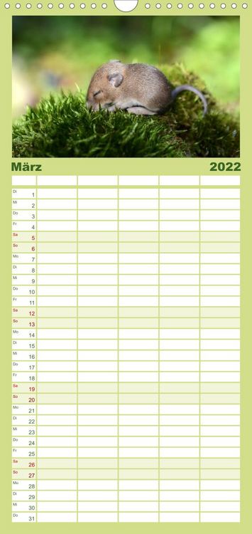 Produktbild: Familienplaner ... hier kommt die Maus ... (Wandkalender 2022 , 21 cm x 45 cm, hoch)