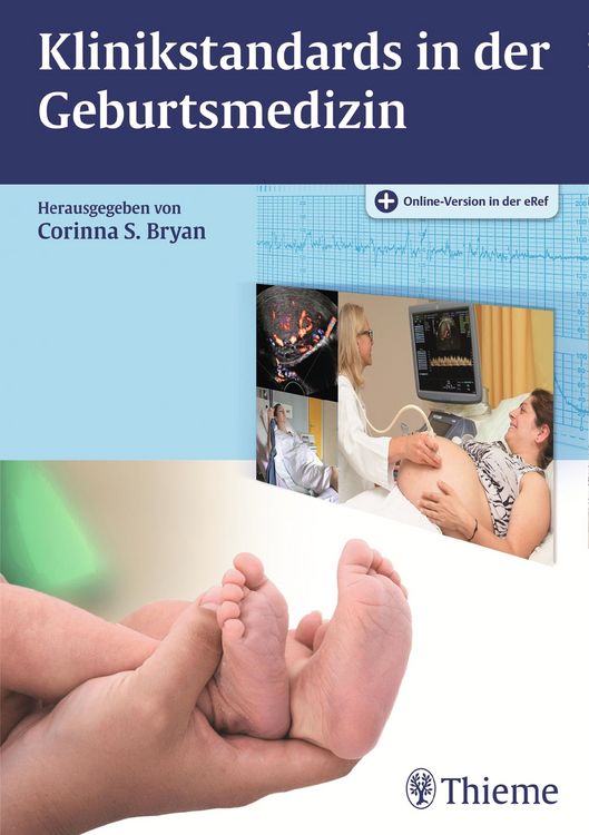 Produktbild: Klinikstandards in der Geburtsmedizin