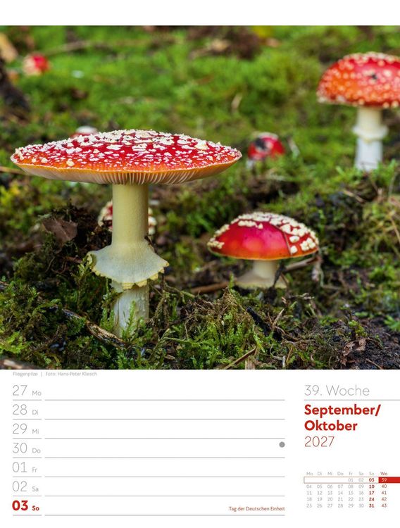 Produktbild: Unser Wald Wochenplaner Kalender 2027