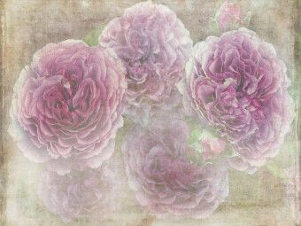 Produktbild: CALVENDO Puzzle Romantische Rosen - Shabby Chic Style | 1000 Teile Lege-Gr&ouml;&szlig;e 64x48cm Foto-Puzzle f&uuml;r gl&uuml;ckliche Stunden