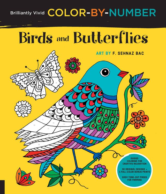 Produktbild: Brilliantly Vivid Color-By-Number: Birds and Butterflies