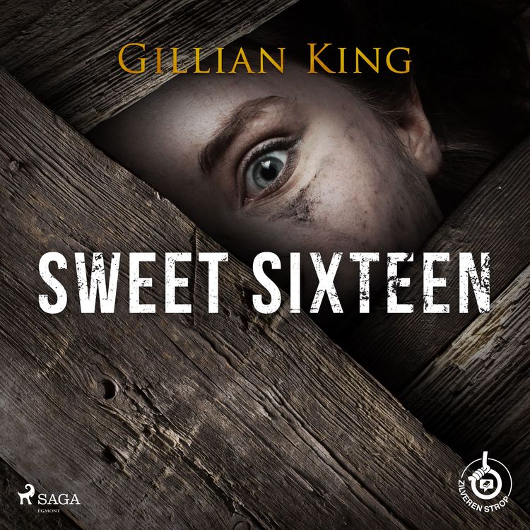 Produktbild: Sweet sixteen