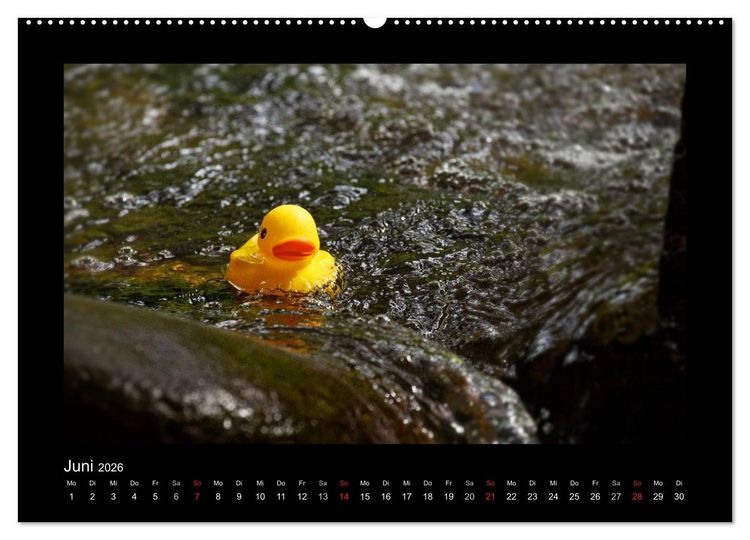 Produktbild: Enten-Rennen (hochwertiger Premium Wandkalender 2026 DIN A2 quer), Kunstdruck in Hochglanz