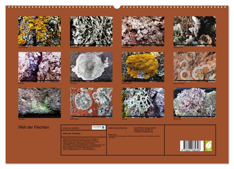 Produktbild: Welt der Flechten (hochwertiger Premium Wandkalender 2026 DIN A2 quer), Kunstdruck in Hochglanz
