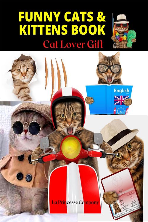 Produktbild: Funny Cats & Kittens Book - Cat Lover Gifts (Pet Book, #3)