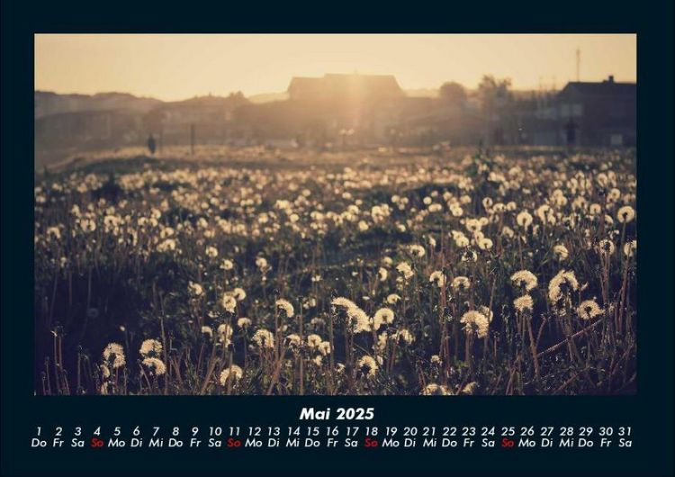 Produktbild: Bilder der Natur 2025 Fotokalender DIN A4