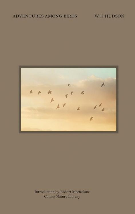 Produktbild: Adventures Among Birds