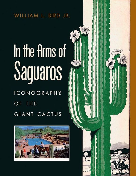 Produktbild: In the Arms of Saguaros