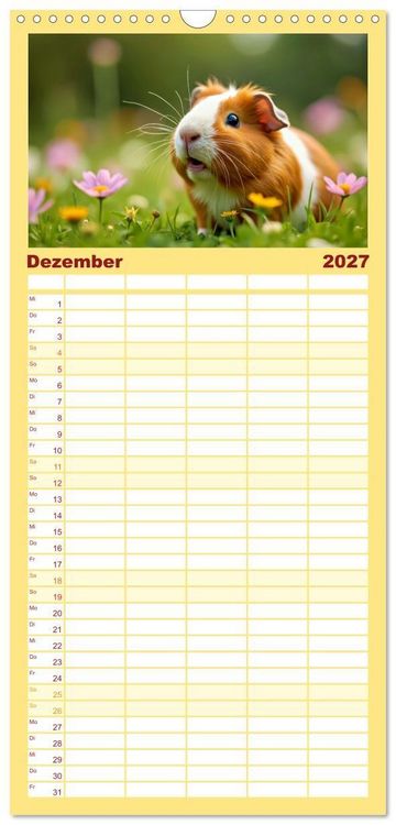 Produktbild: Familienplaner 2027 - S&uuml;&szlig;e Meerschweinchen mit 5 Spalten (Wandkalender, 21 x 45 cm) CALVENDO