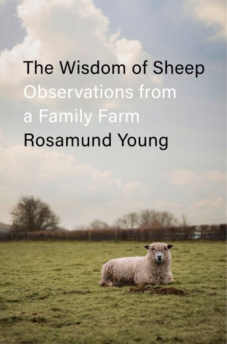 Produktbild: The Wisdom of Sheep
