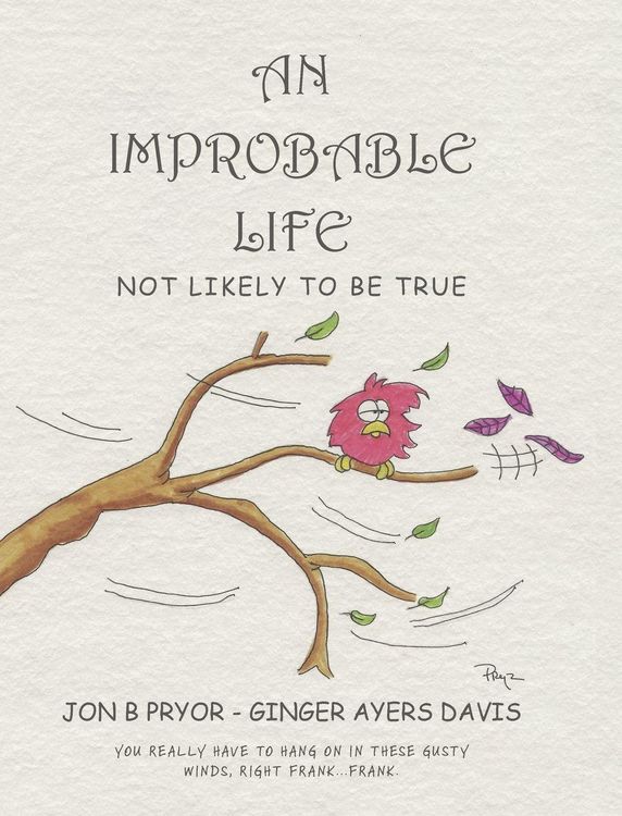 Produktbild: An Improbable Life