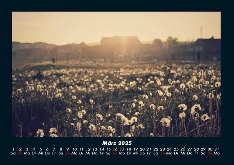Produktbild: Bilder aus der Natur 2025 Fotokalender DIN A4