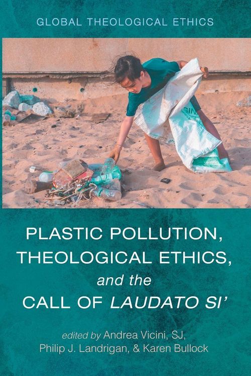 Produktbild: Plastic Pollution, Theological Ethics, and the Call of Laudato Si