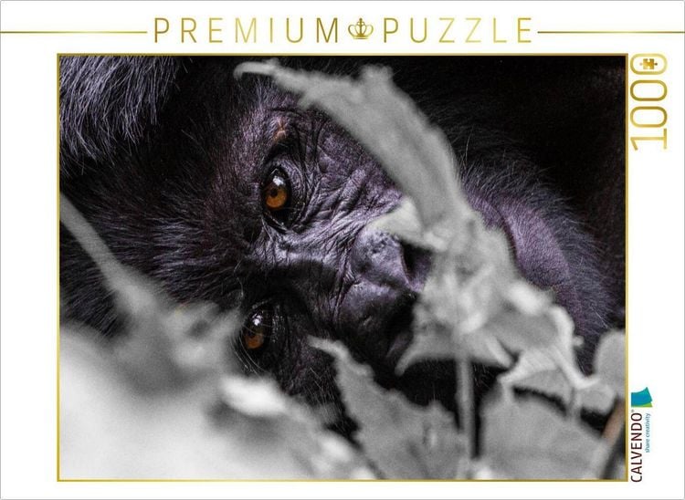 Produktbild: CALVENDO Puzzle Die Augen eines Gorillas | 1000 Teile Lege-Gr&ouml;&szlig;e 64x48cm Foto-Puzzle f&uuml;r gl&uuml;ckliche Stunden