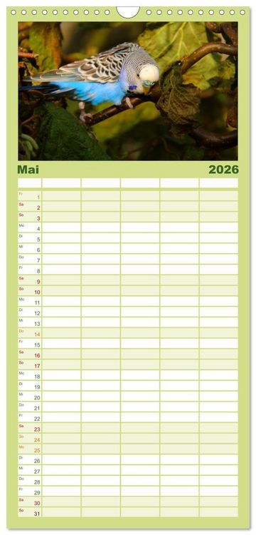 Produktbild: Familienplaner 2026 - Wellensittiche mit 5 Spalten (Wandkalender, 21 x 45 cm) CALVENDO