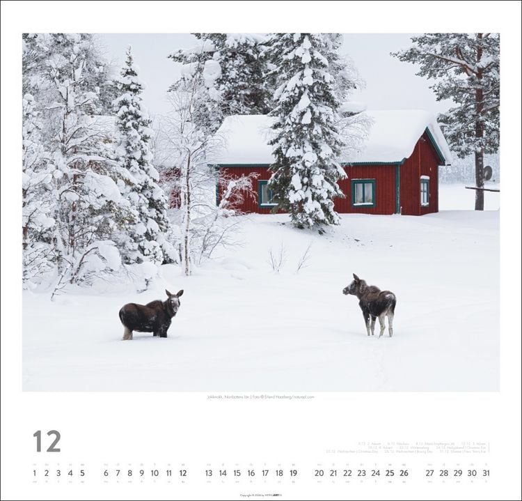 Produktbild: Schweden Kalender 2027 - Licht und Wasser
