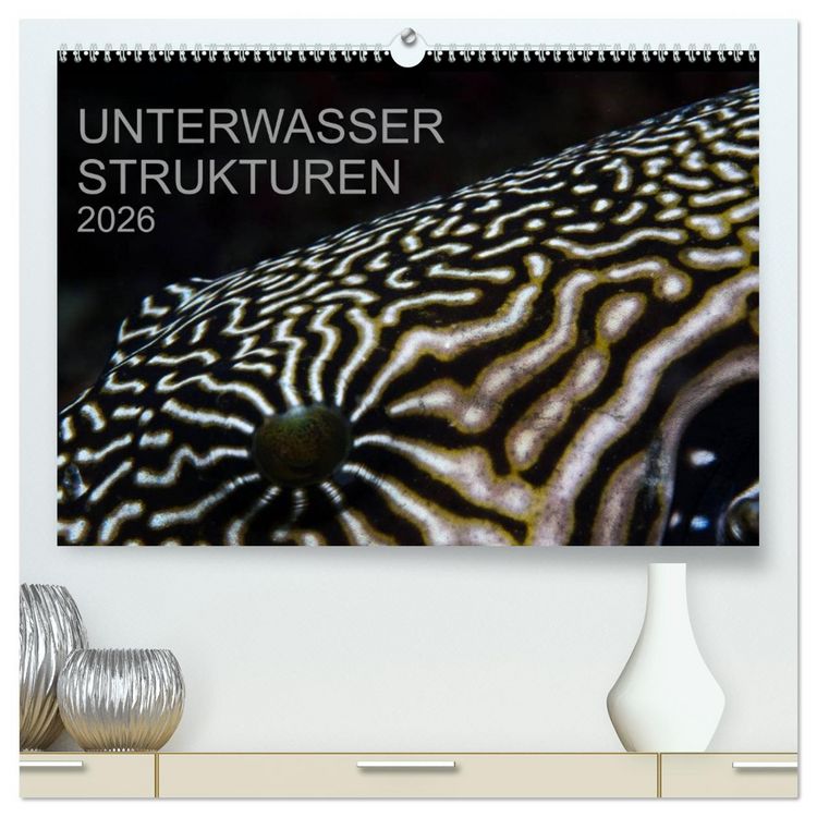 Produktbild: Unterwasser Strukuren (hochwertiger Premium Wandkalender 2026 DIN A2 quer), Kunstdruck in Hochglanz