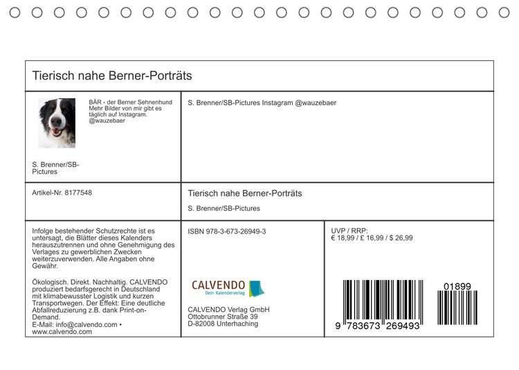 Produktbild: Tierisch nahe Berner-Portr&auml;ts (Tischkalender 2022 DIN A5 quer)