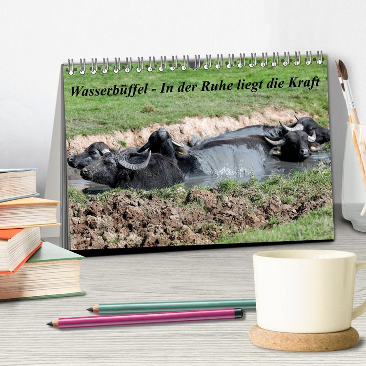 Produktbild: Wasserb&uuml;ffel - In der Ruhe liegt die Kraft (Tischkalender 2026 DIN A5 quer), CALVENDO Monatskalender