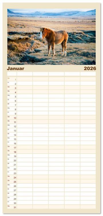 Produktbild: Familienplaner 2026 - Islandpferde - Die s&uuml;&szlig;en Pferde im Norden. mit 5 Spalten (Wandkalender, 21 x 45 cm) CALVENDO