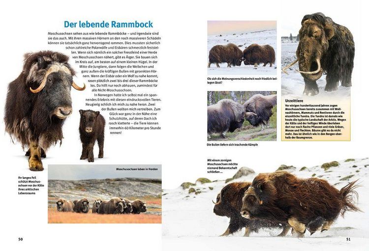 Produktbild: Entdecke Arktis und Antarktis