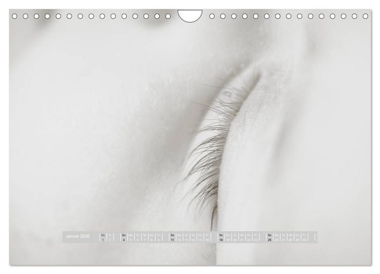 Produktbild: ...so winzig - Babykalender (Wandkalender 2026 DIN A4 quer), CALVENDO Monatskalender