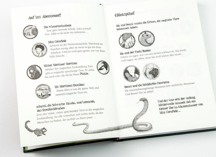 Produktbild: Die Schule der magischen Tiere 9: Versteinert!