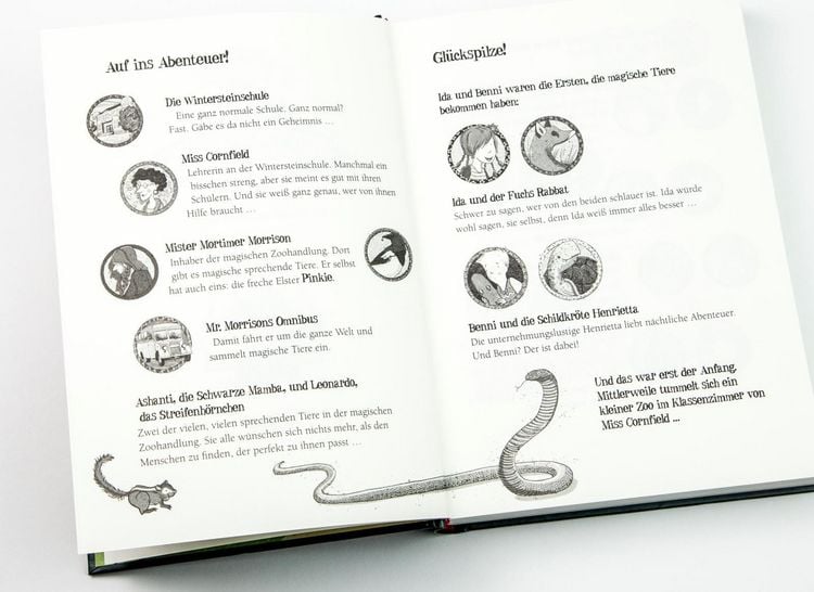 Produktbild: Die Schule der magischen Tiere Erstausstattung 9: Versteinert!