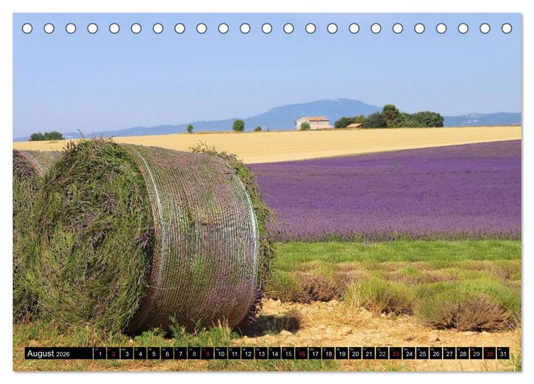 Produktbild: Lavendel (Tischkalender 2026 DIN A5 quer), CALVENDO Monatskalender