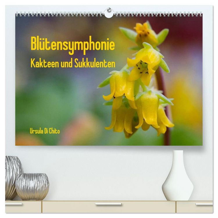 Produktbild: Bl&uuml;tensymphonie - Kakteen und Sukkulenten (hochwertiger Premium Wandkalender 2026 DIN A2 quer), Kunstdruck in Hochglanz