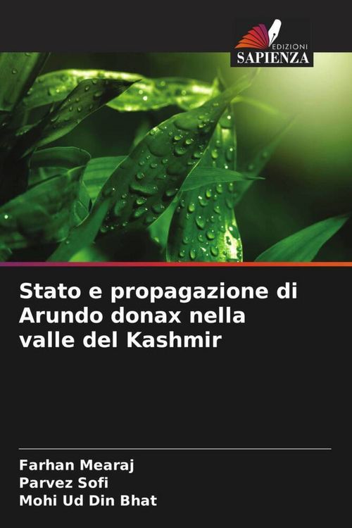 Produktbild: Stato e propagazione di Arundo donax nella valle del Kashmir