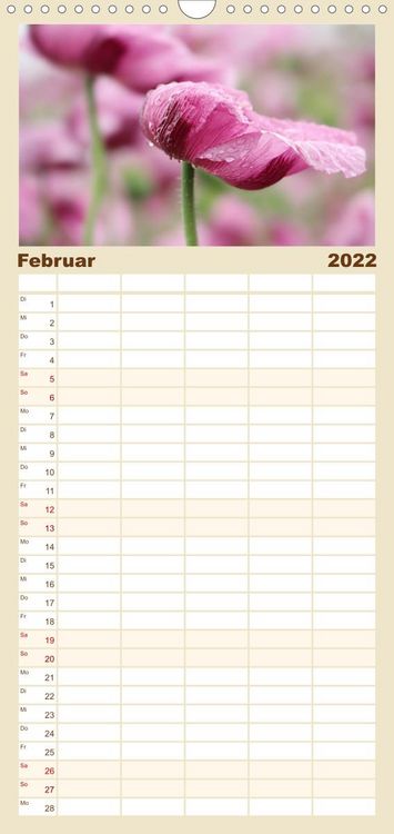 Produktbild: Familienplaner Mohnsch&ouml;nheiten (Wandkalender 2022 , 21 cm x 45 cm, hoch)