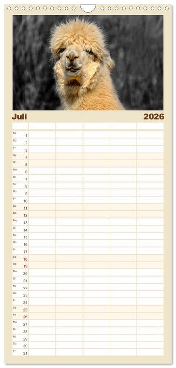 Produktbild: Familienplaner 2026 - Alpaka Gesichter mit 5 Spalten (Wandkalender, 21 x 45 cm) CALVENDO
