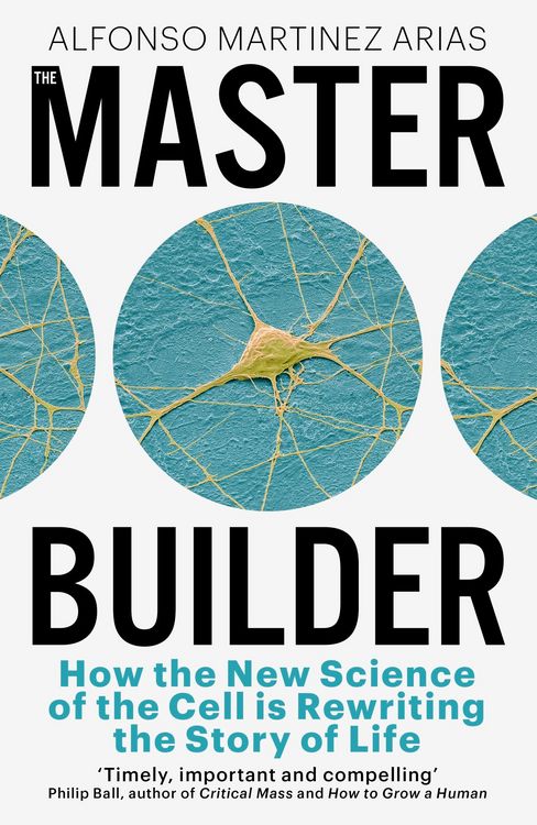 Produktbild: The Master Builder