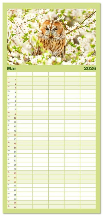 Produktbild: Familienplaner 2026 - V&ouml;gel in unserer Heimat: Kiebitz, Wiedehopf und Turteltaube mit 5 Spalten (Wandkalender, 21 x 45 cm) CALVENDO