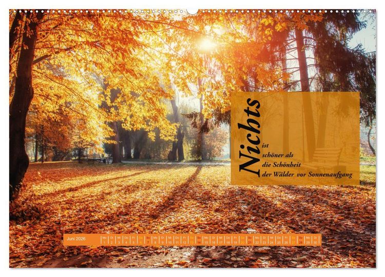 Produktbild: WALD Erholung pur (hochwertiger Premium Wandkalender 2026 DIN A2 quer), Kunstdruck in Hochglanz