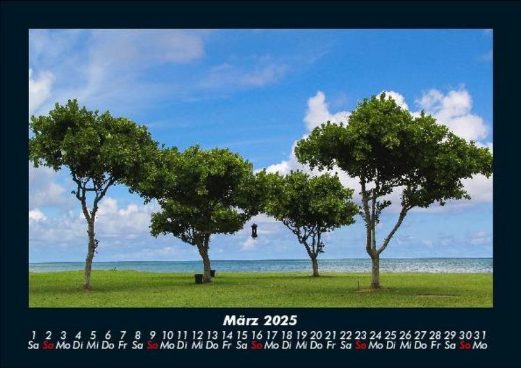 Produktbild: B&auml;ume 2025 Fotokalender DIN A5