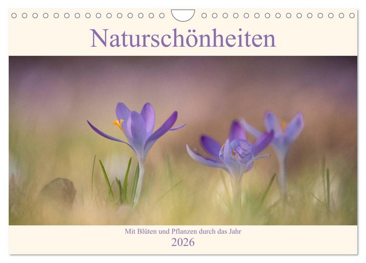 Produktbild: Natursch&ouml;nheiten - mit Bl&uuml;ten und Pflanzen durch das Jahr (Wandkalender 2026 DIN A4 quer), CALVENDO Monatskalender