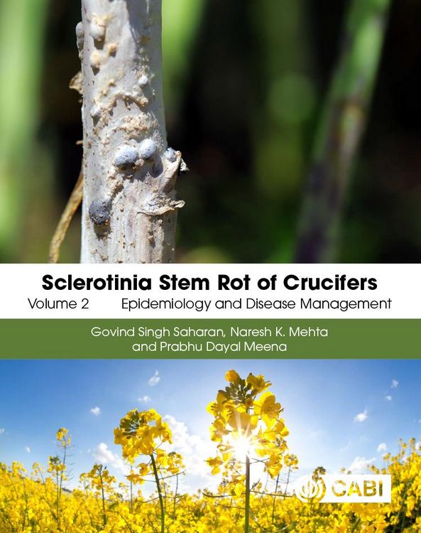 Produktbild: Sclerotinia Stem Rot of Crucifers, Volume 2