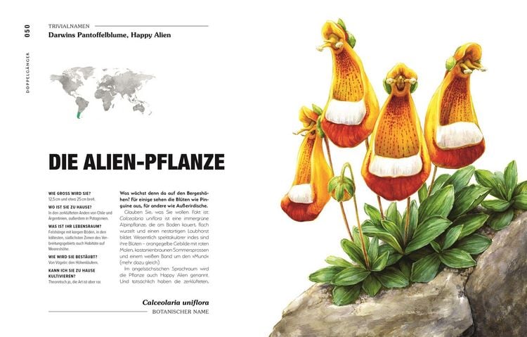 Produktbild: Kuriose Pflanzen