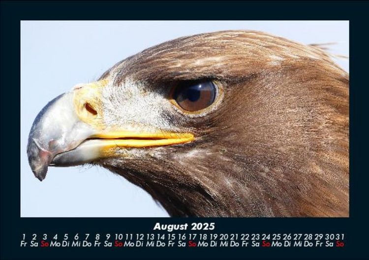Produktbild: Vogelparadies 2025 Fotokalender DIN A5